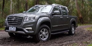 GWM - Steed